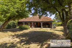 front- click for photo gallery